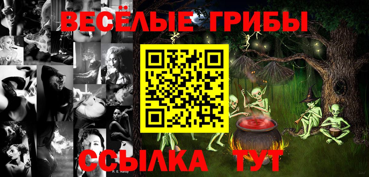 Удомля  Псилоцибиновые грибы Cubensis  Галлюциногенные грибы мицелий  Вход с VPN 